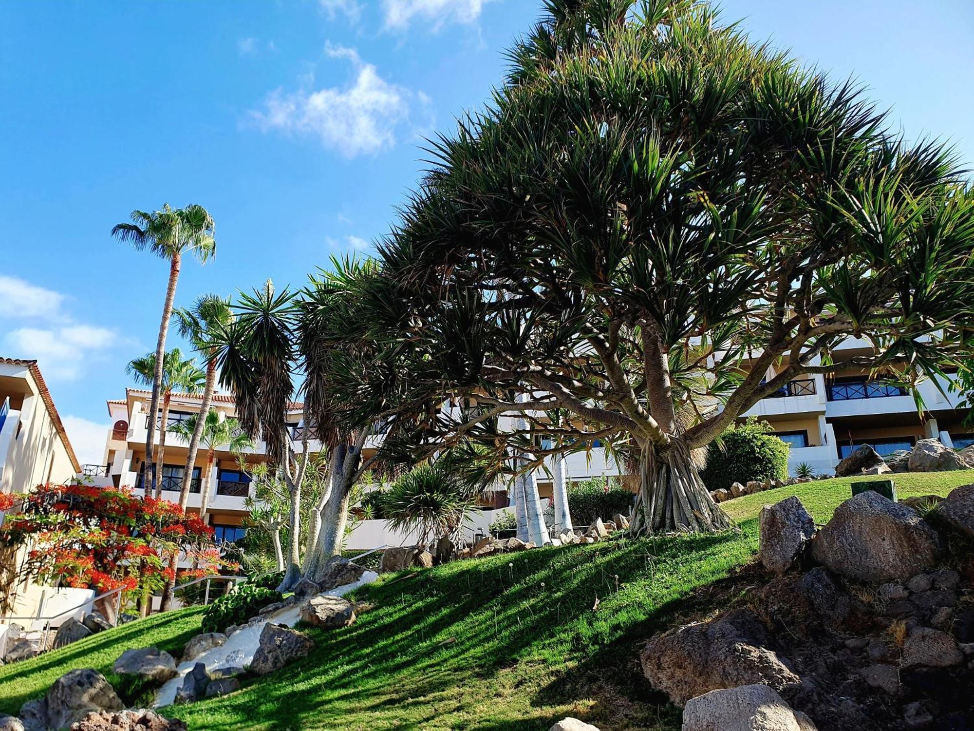 Spacious Apartment With Private Garden In Tenerife South San Miguel de Abona Bagian luar foto